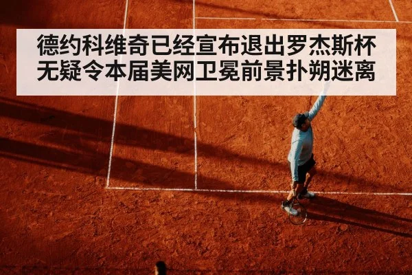 德约科维奇已经宣布退出罗杰斯杯无疑令本届美网卫冕前景扑朔迷离